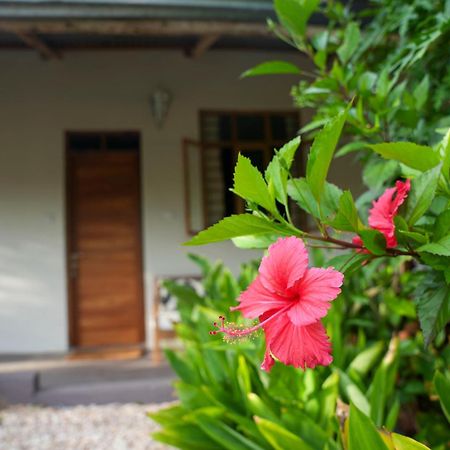 Kendwa Breeze Bungalows Dış mekan fotoğraf