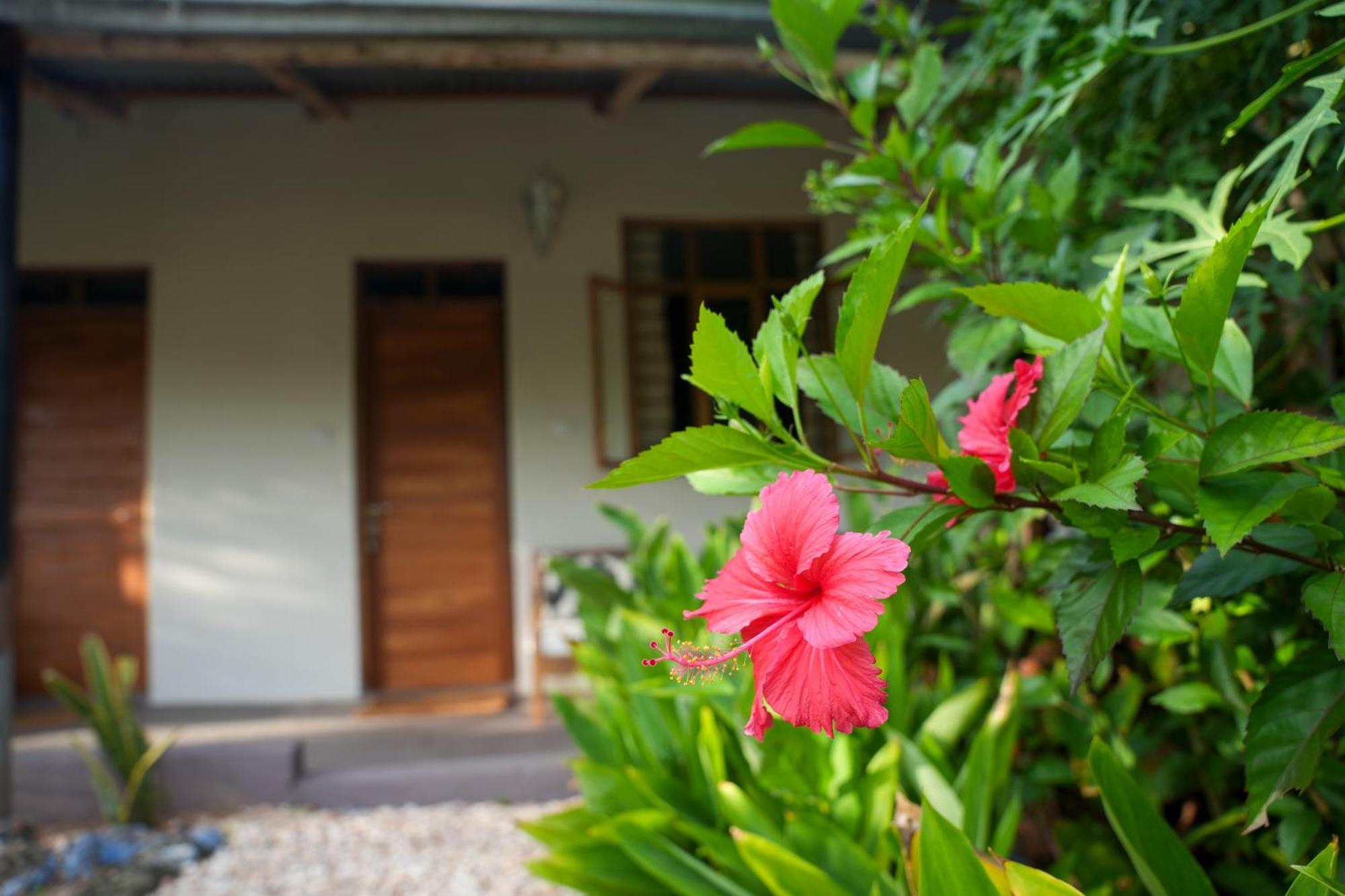Kendwa Breeze Bungalows Dış mekan fotoğraf