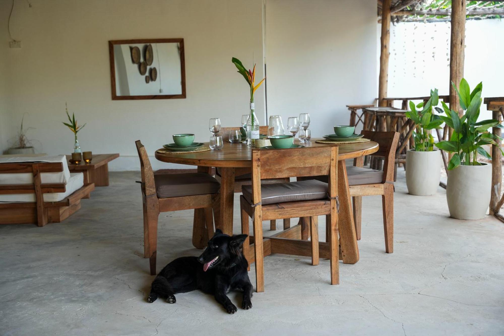 Kendwa Breeze Bungalows Dış mekan fotoğraf